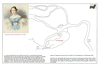 lut52 julia browne_thumb.gif